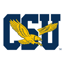 Coppin State Eagles