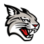 Davidson Wildcats
