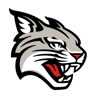 Davidson Wildcats