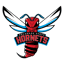 Delaware State Hornets
