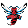 Delaware State Hornets