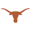 Texas Longhorns