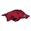 Arkansas Razorbacks