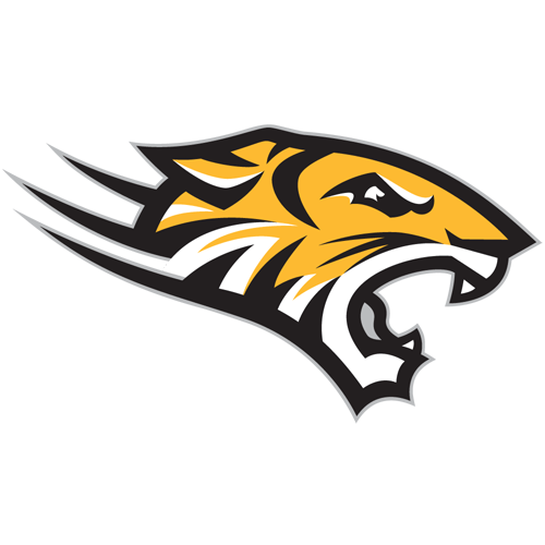 Towson Tigers