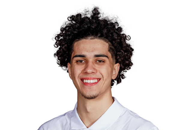 Gael Dalmau Torresola